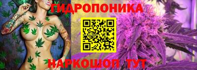 герыч Кинель