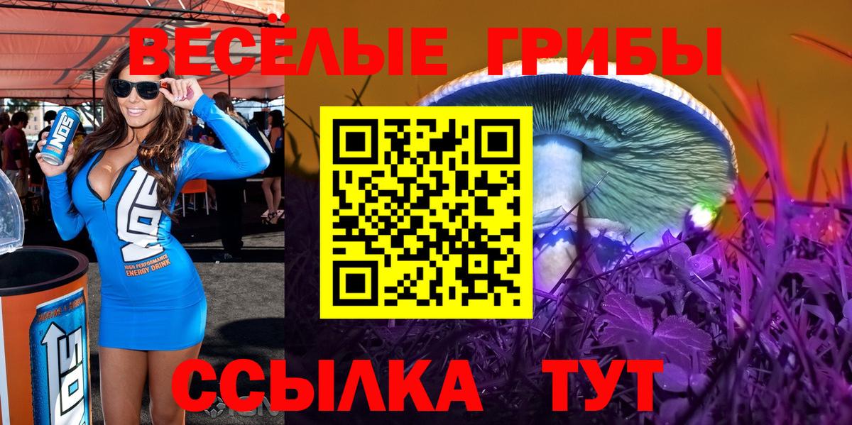 Псилоцибиновые грибы Cubensis Котлас