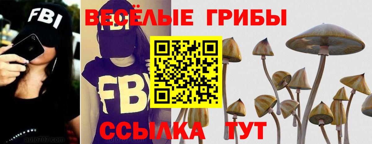 Котлас  Галлюциногенные грибы GOLDEN TEACHER  Вход с VPN 